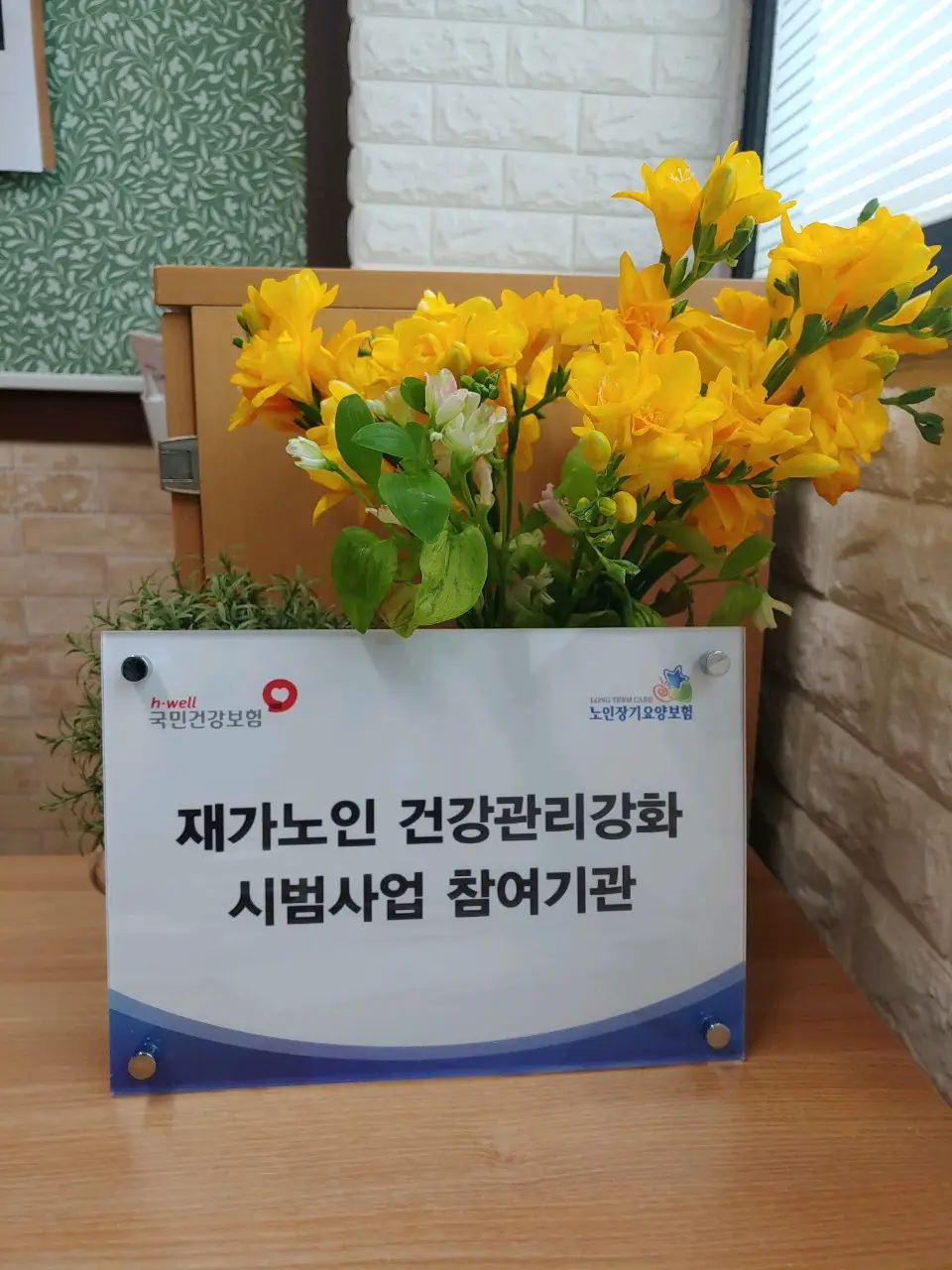 원격진료시범사업기관