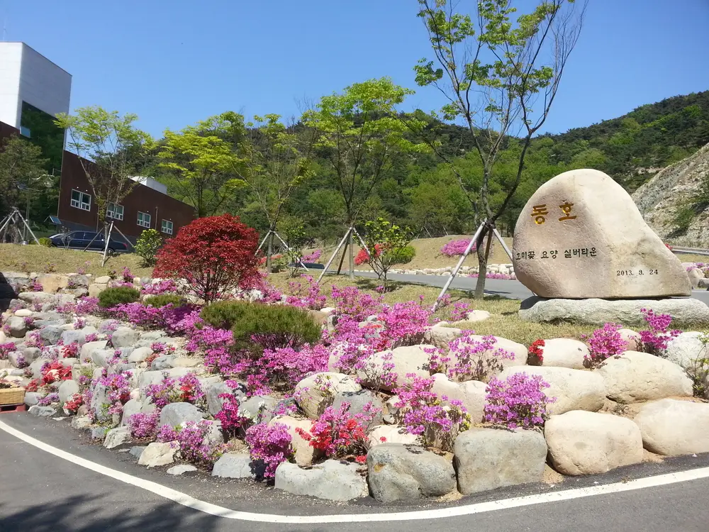 시설 전경