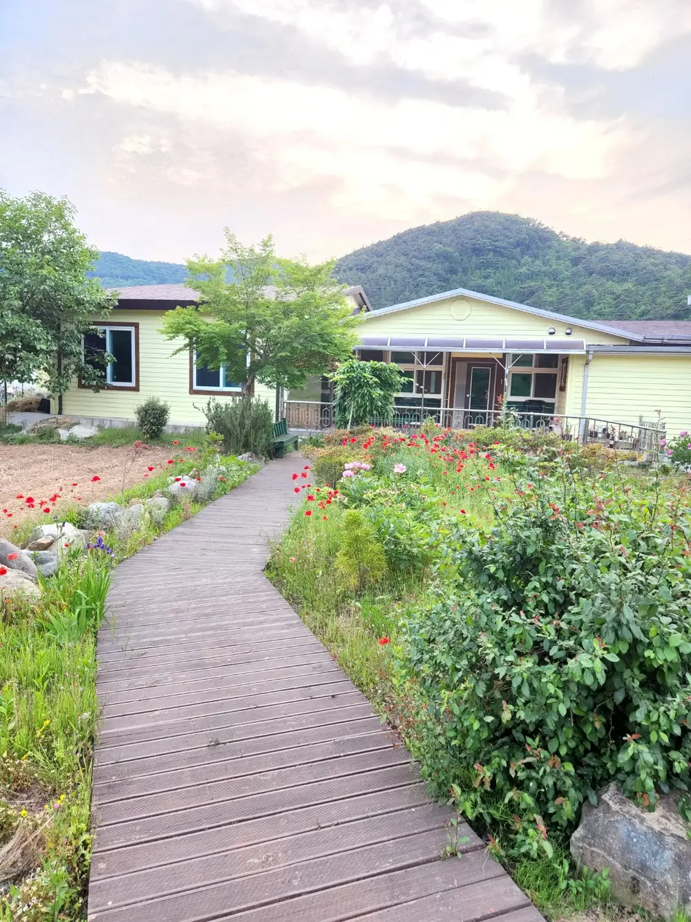 여름 전경