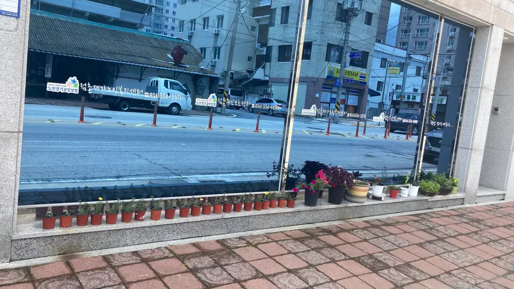 전경