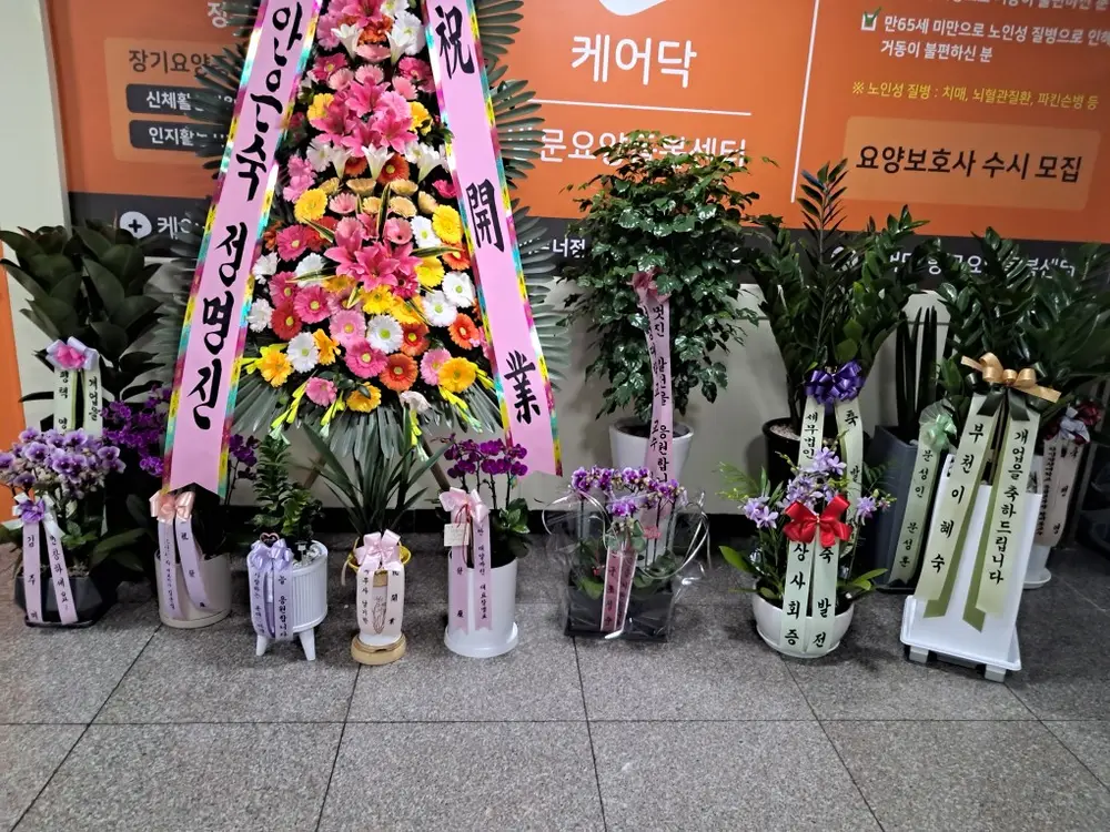 케어닥 방문요양돌봄센터 월