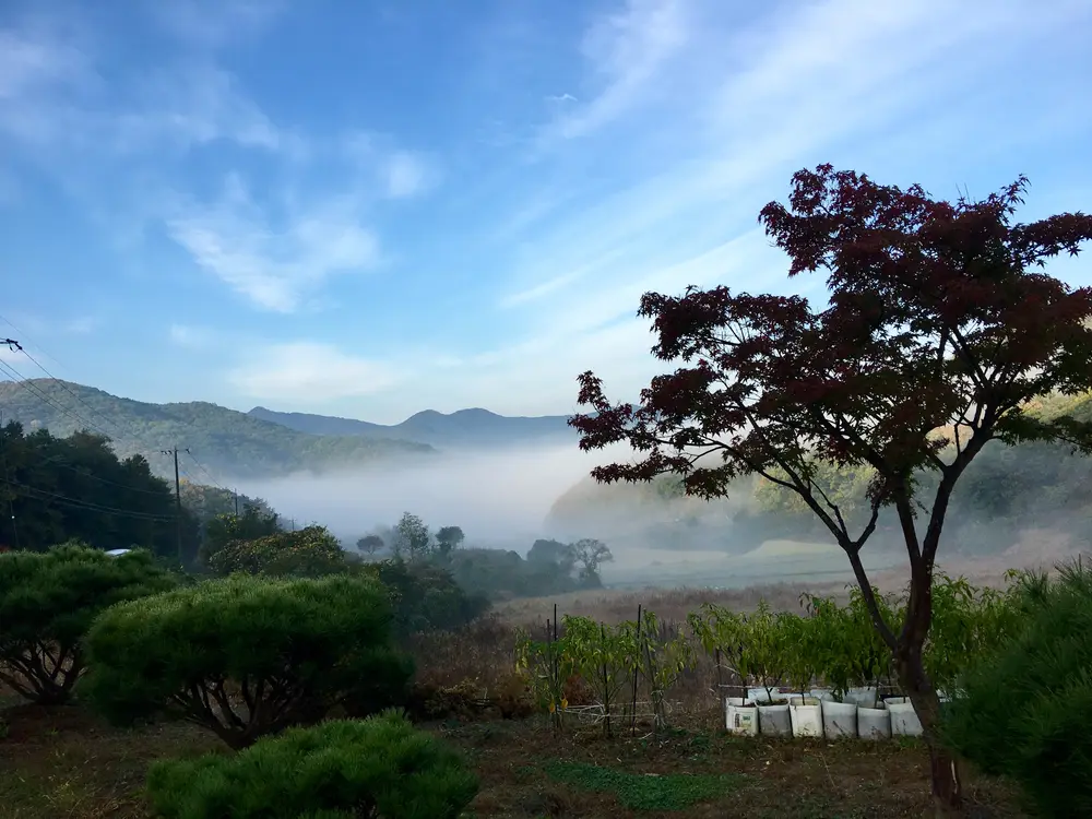 외부 전경1