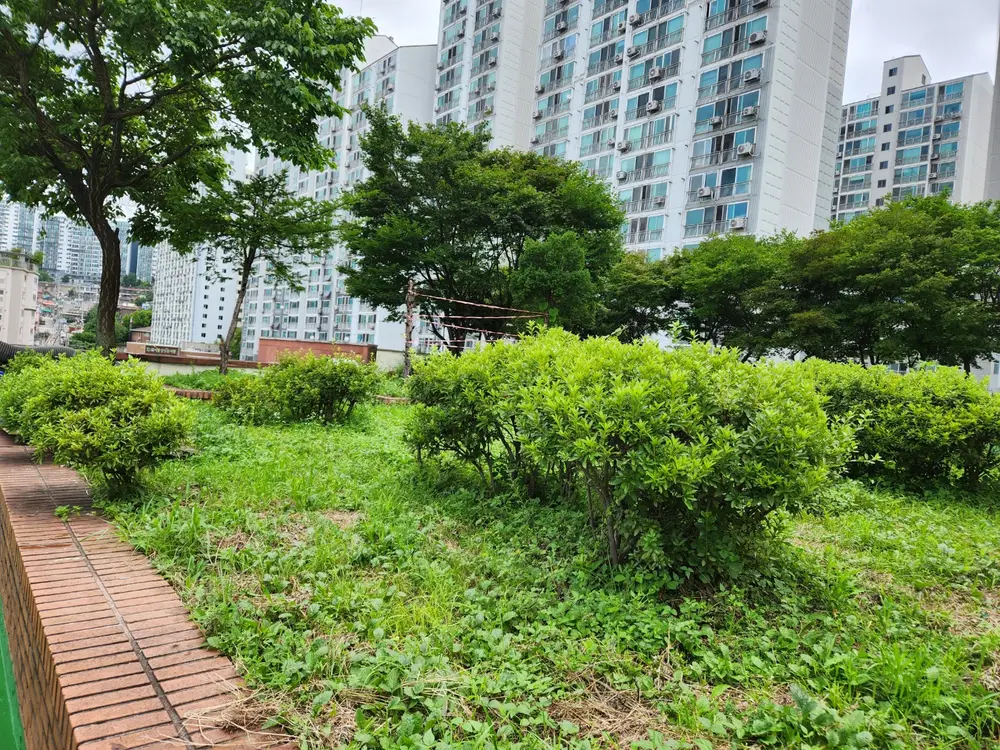 하늘공원2