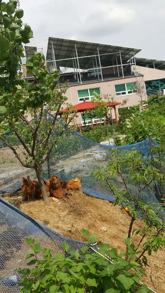 푸른숲전경