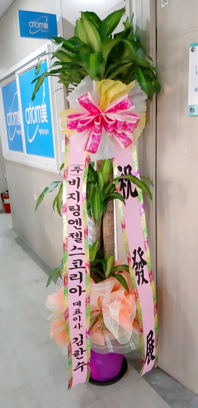 비지팅엔젤스일산장항방문요양