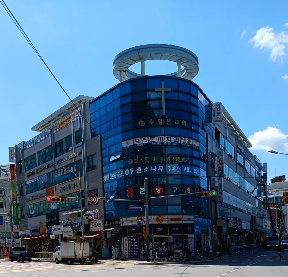 푸른소나무 전경