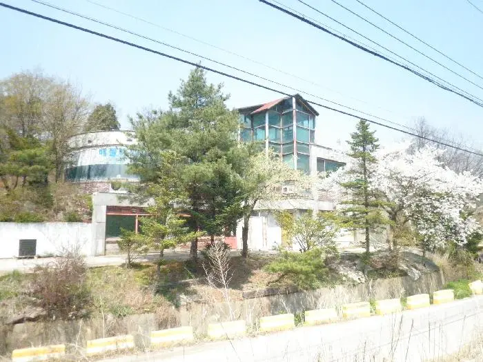 시설전경&_40;벚꽃만발&