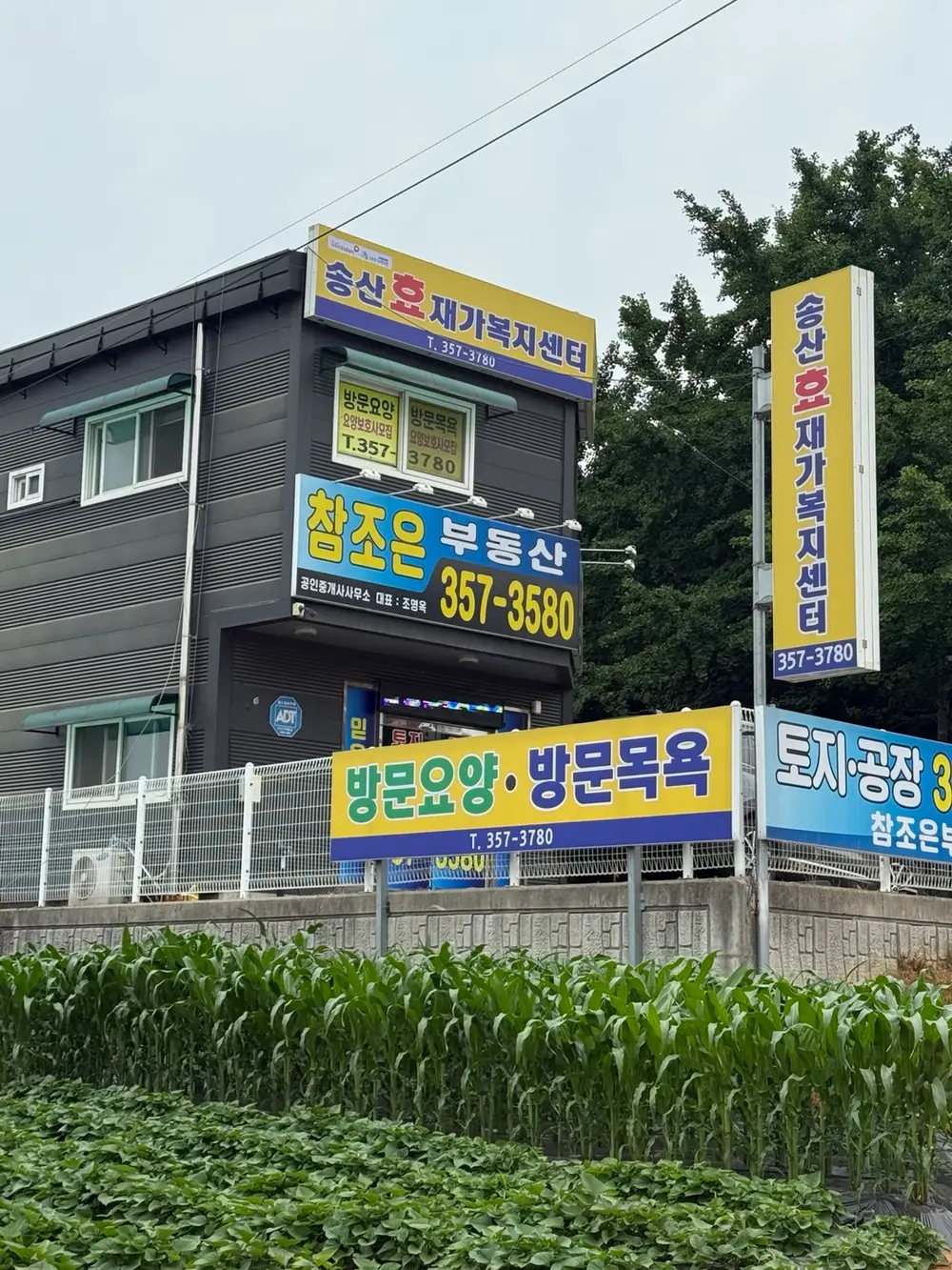 시설 사진