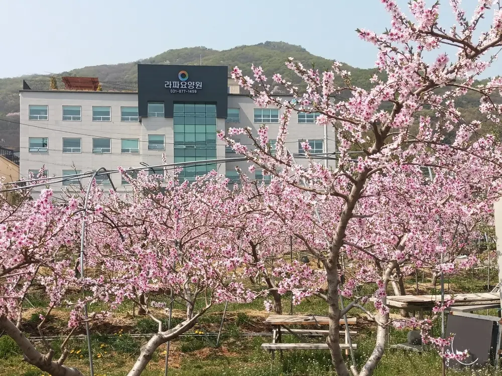 라파요양원 전경입니다