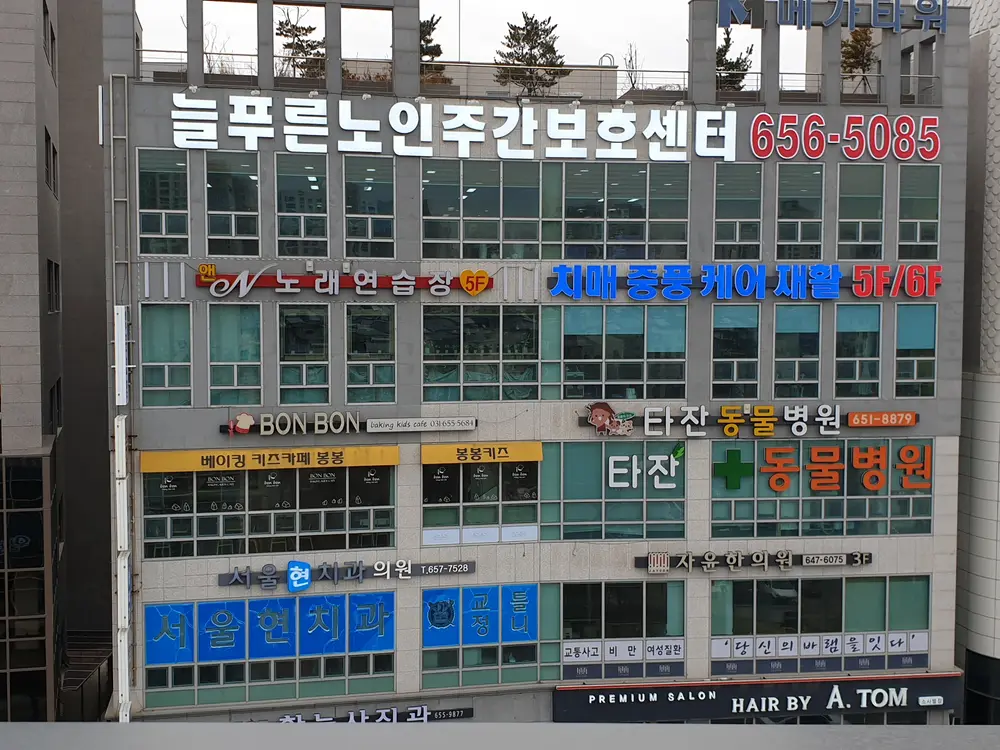 늘푸른노인주간보호센터 사진
