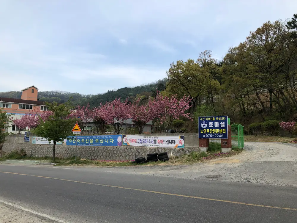 왜관 효마실 전경