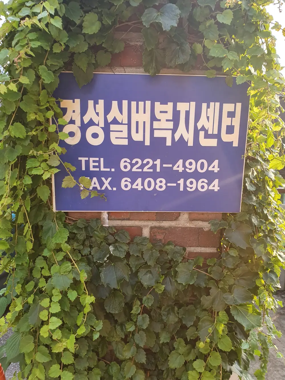 경성실버복지센터 사진