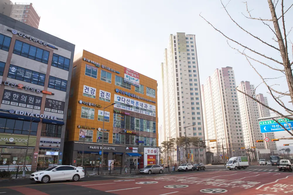 5층