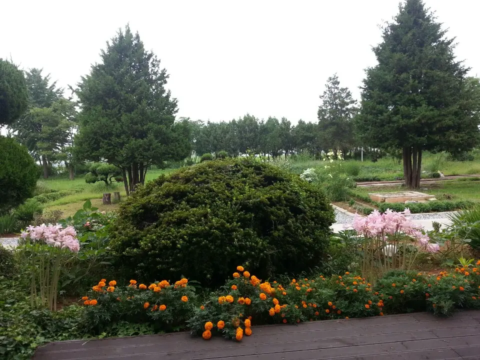 전경