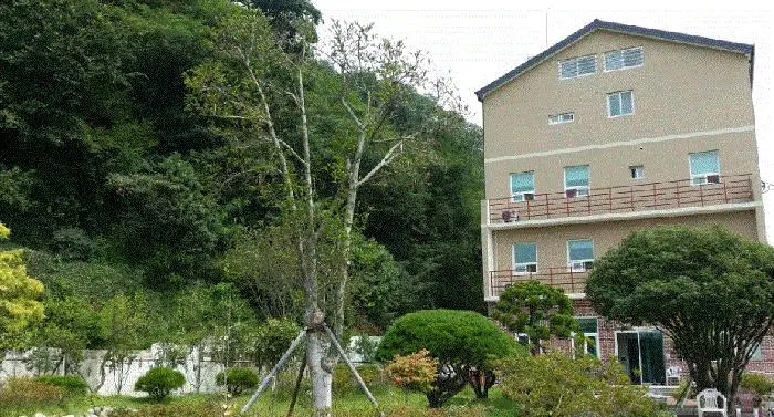 한여름 끝의 둥지