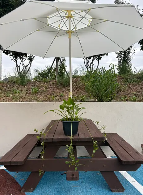 시설 외부 전경 일부
