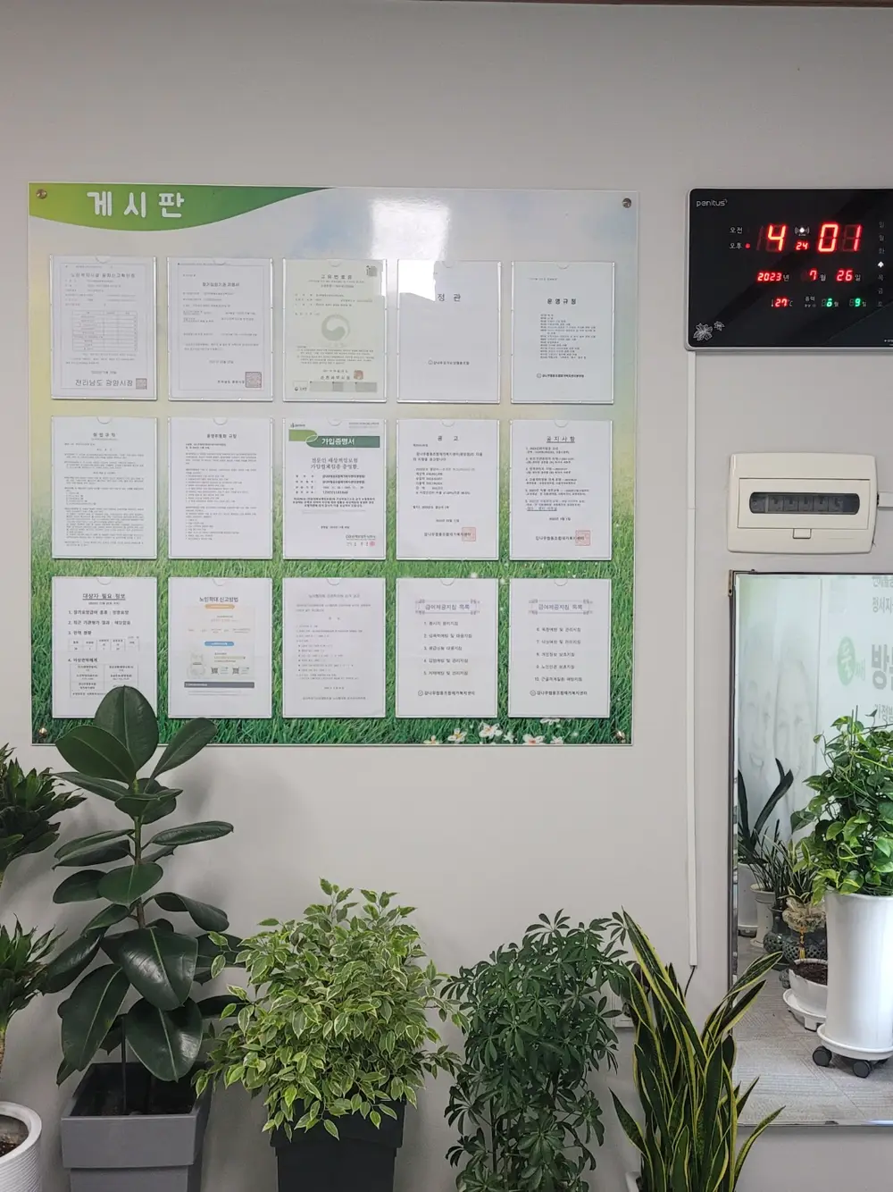 감나무협동조합재가복지센터 사진