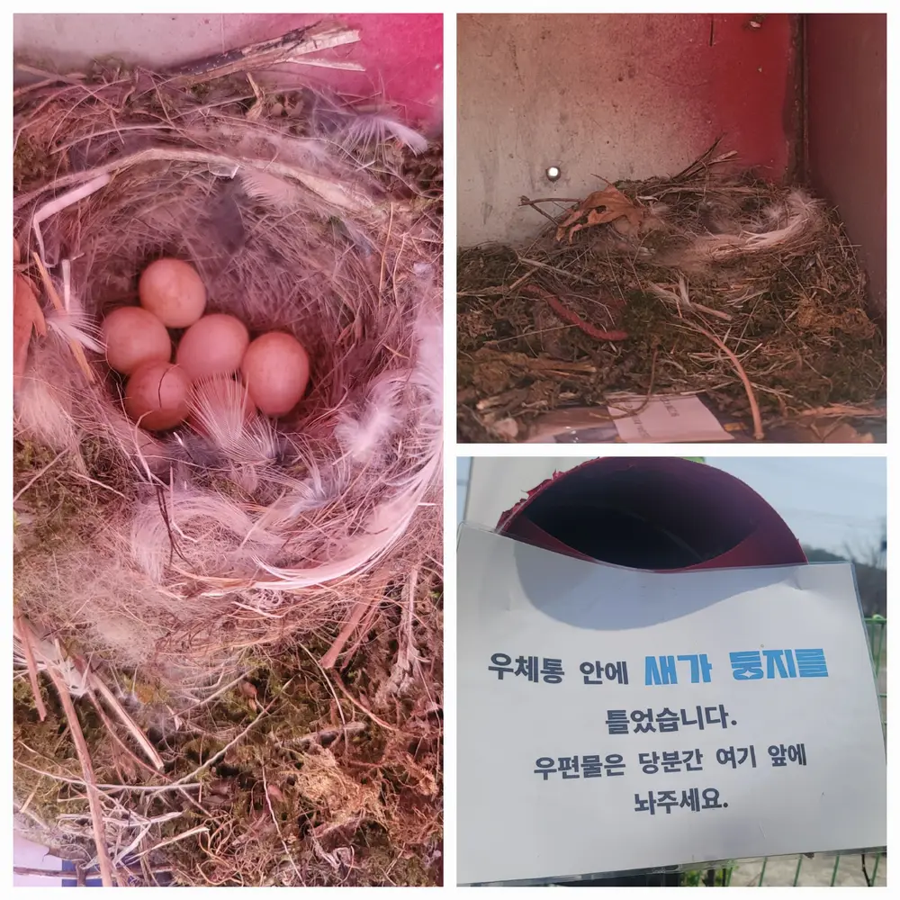 파주치매전담형주야간보호센터 사진