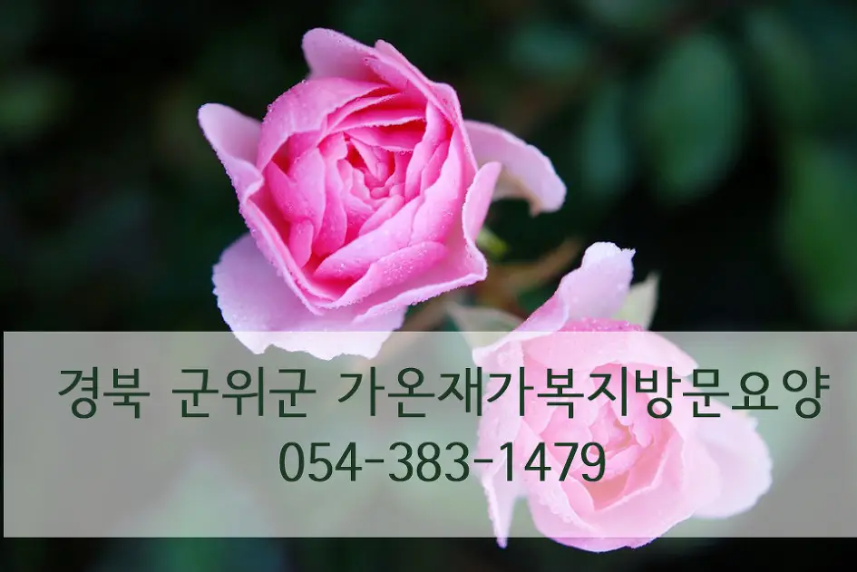 가온재가복지센터 사진
