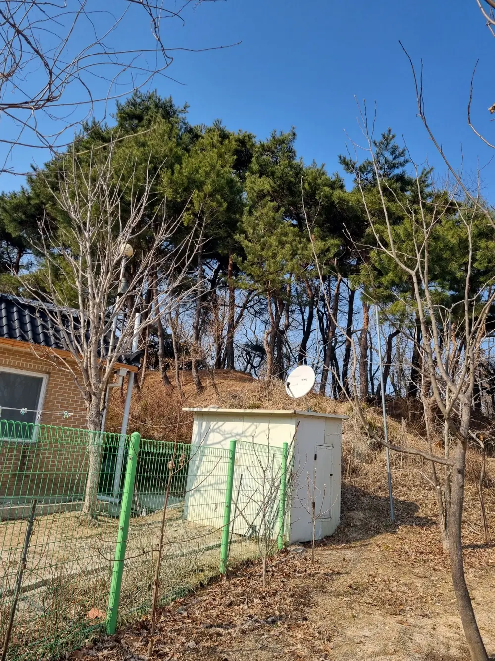 봄이 왔어요