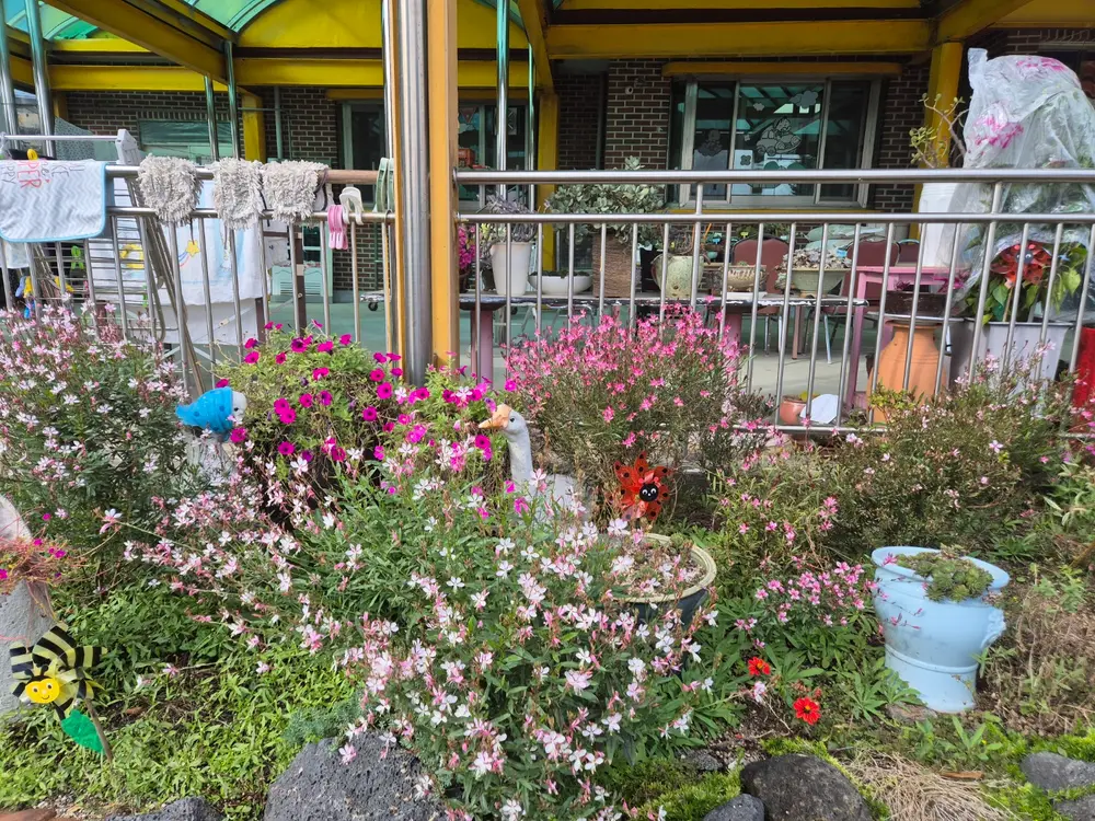 시설전경