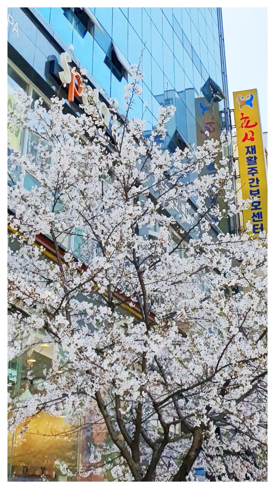 센터 외부 간판사진