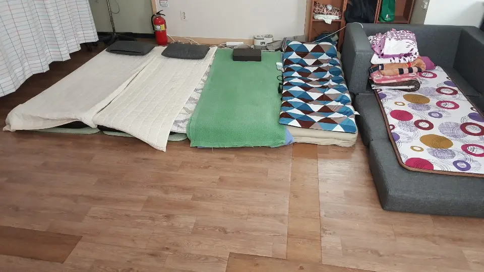 생활실3입니다