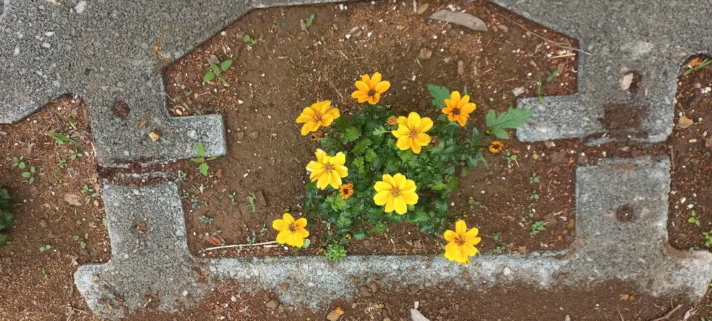 효은공동생활가정 사진