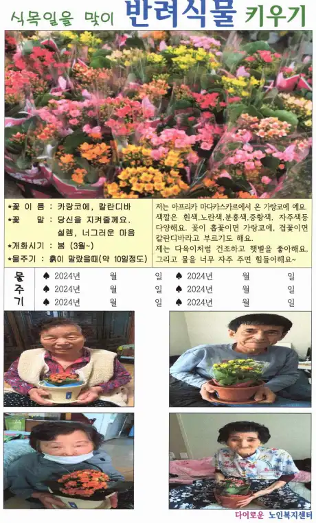 식목일 맞이 반려식물 키우