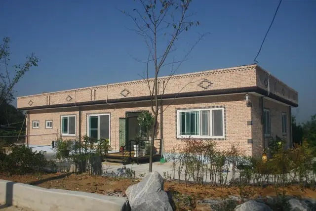 느티나무 사진