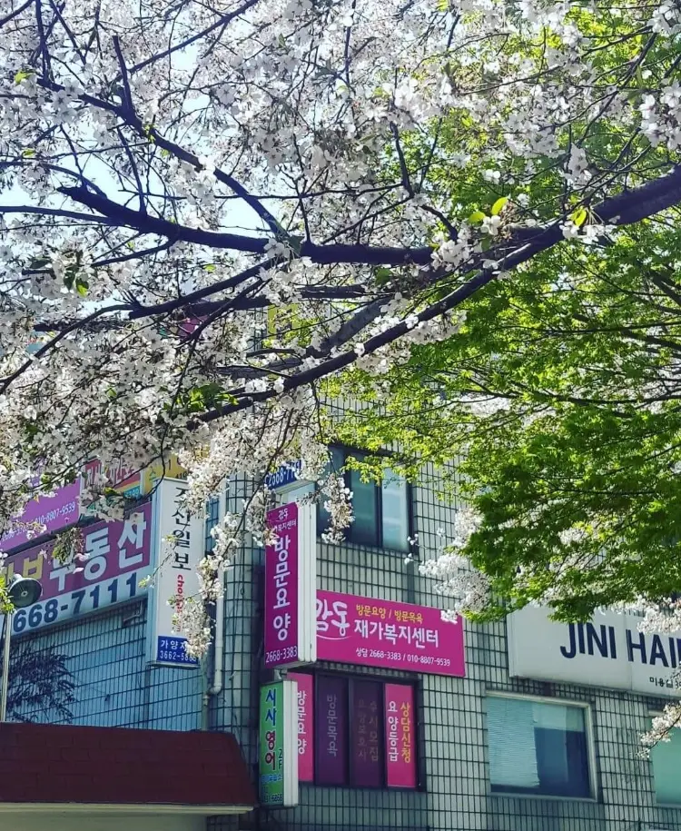 감동재가복지센터 건물전경