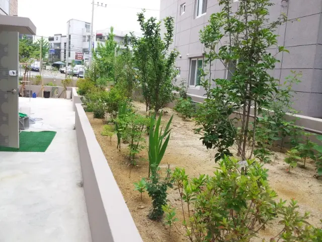 외부화단