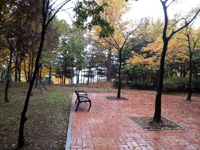 건강한 사진