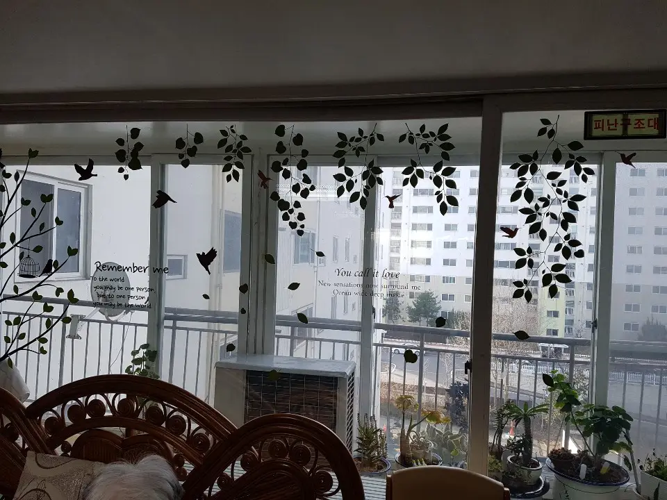 시설에서 본 창 밖의 경치
