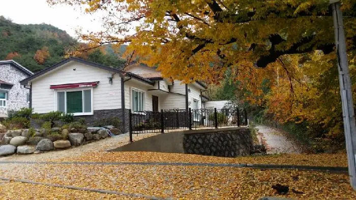 효사랑재가장기요양기관 사진
