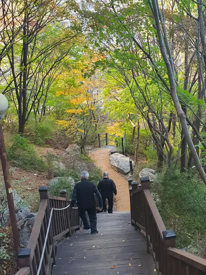 프로그램 사진은 공지사항(