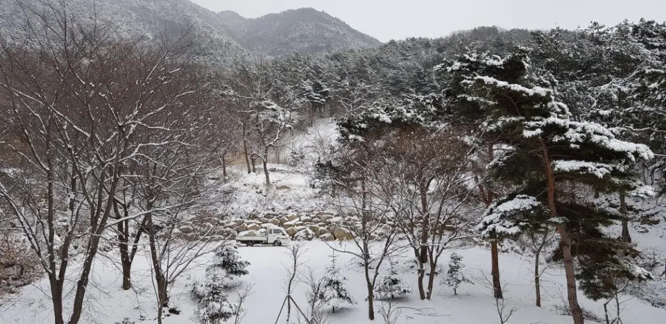 겨울전경