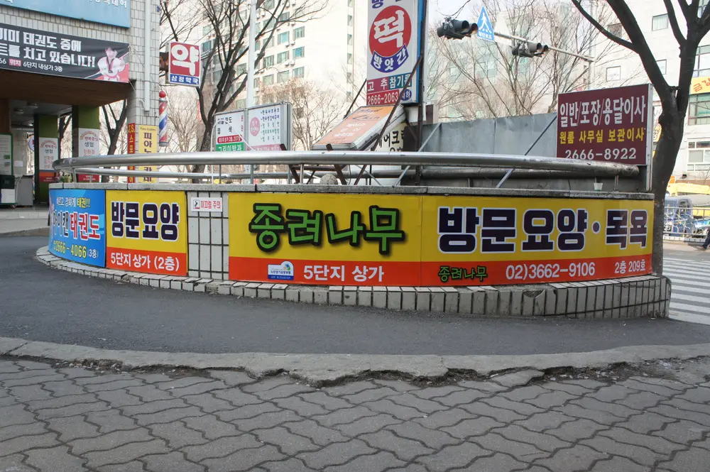 종려나무전경