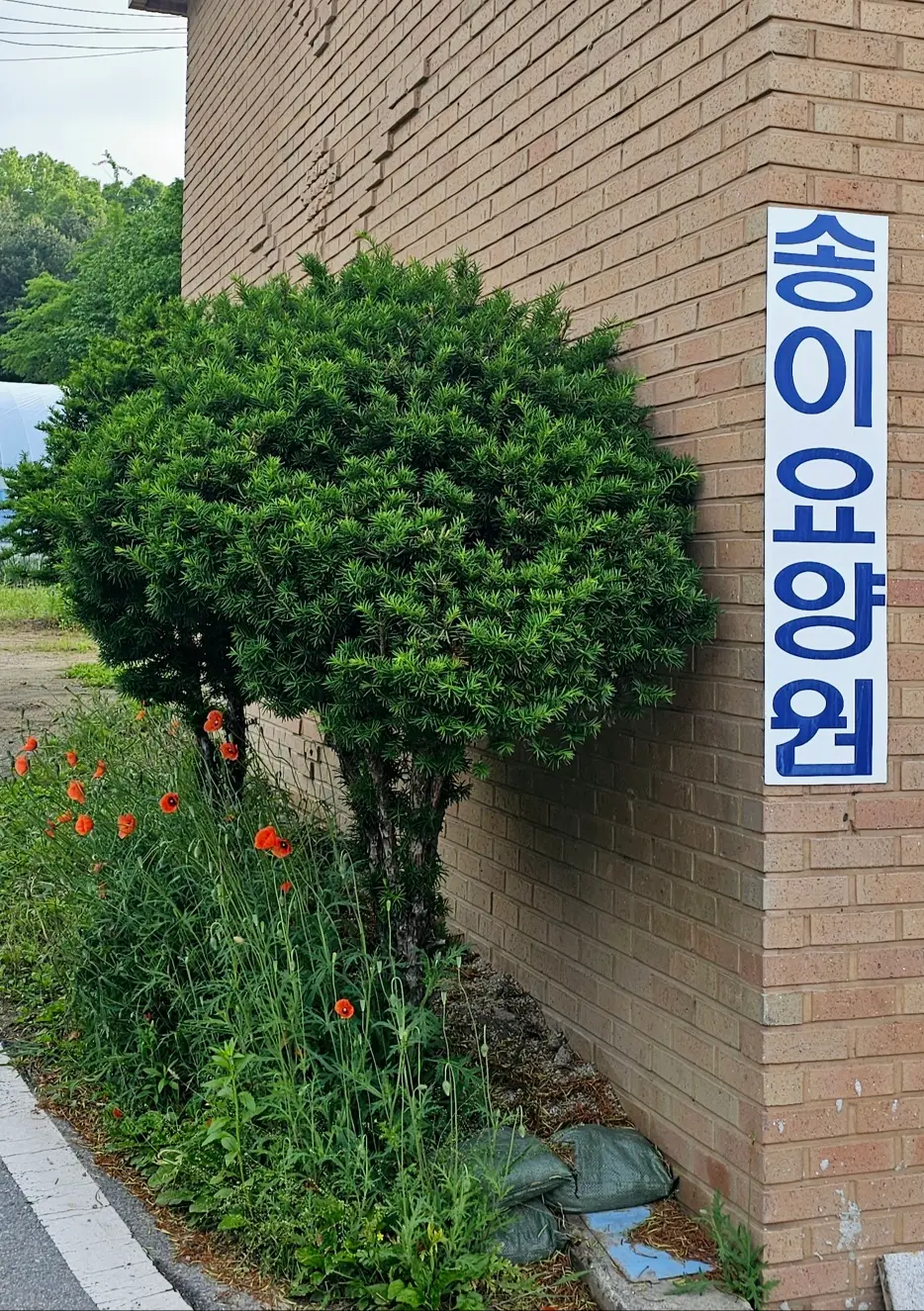 송이요양원 전경