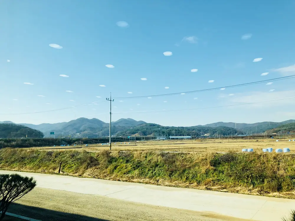 라파재활주간보호센터 사진