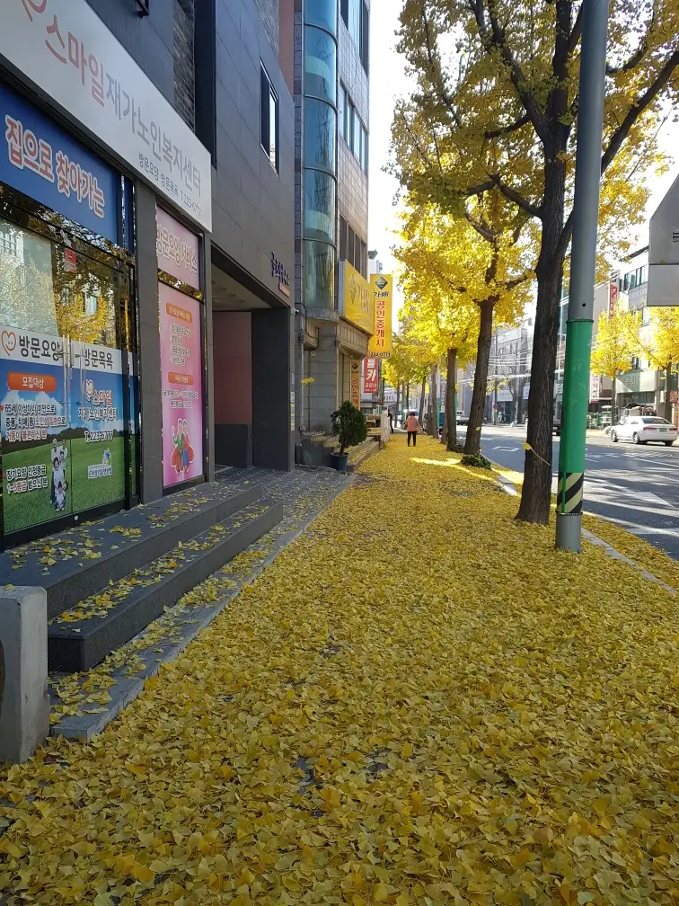 건물전경
