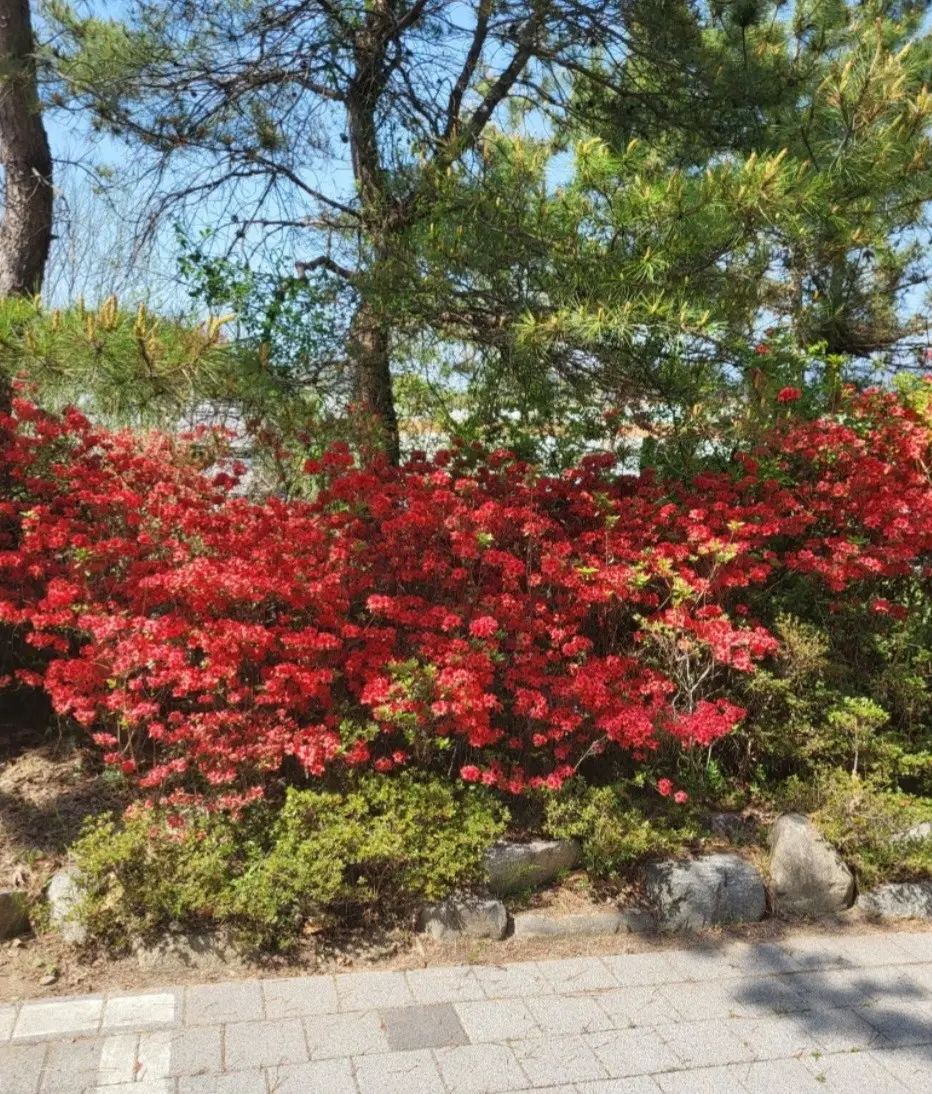 요양원 화단 전경