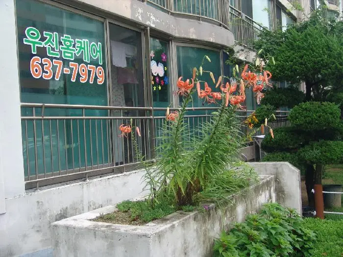 전경