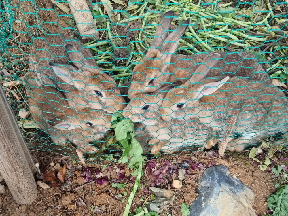 청송보현요양원 사진