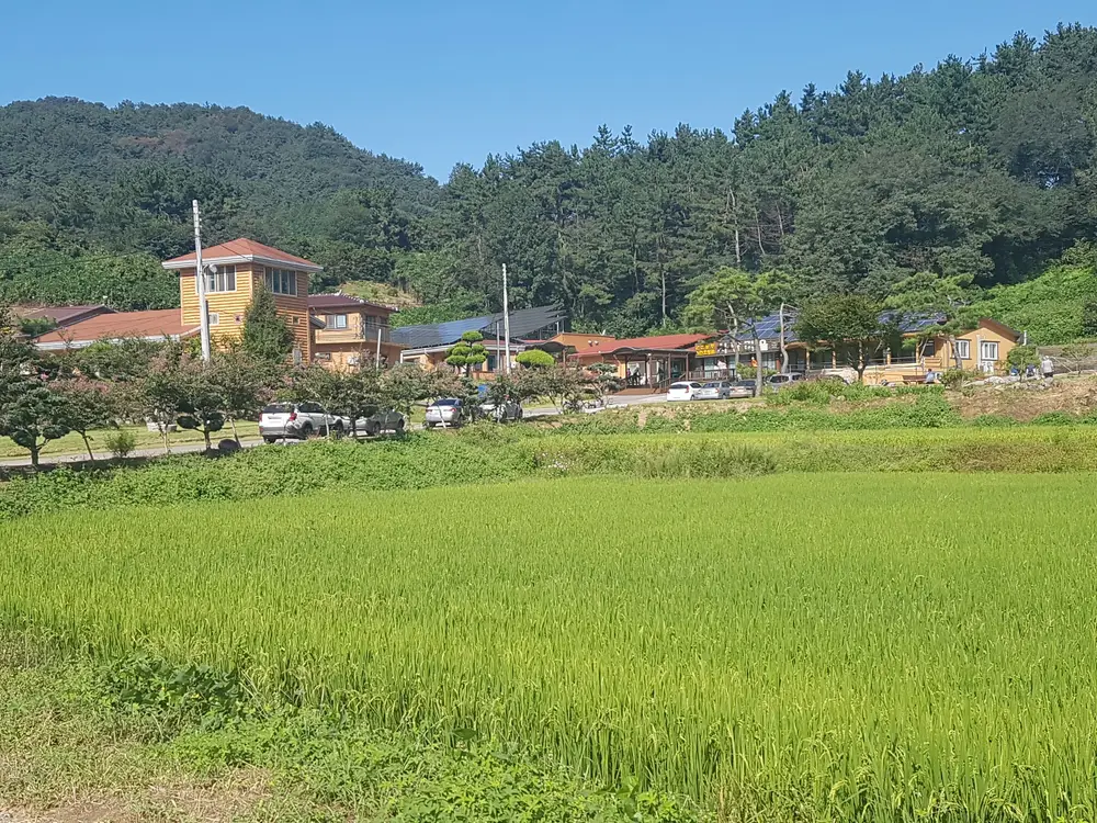 동부재가노인통합지원센터 사진