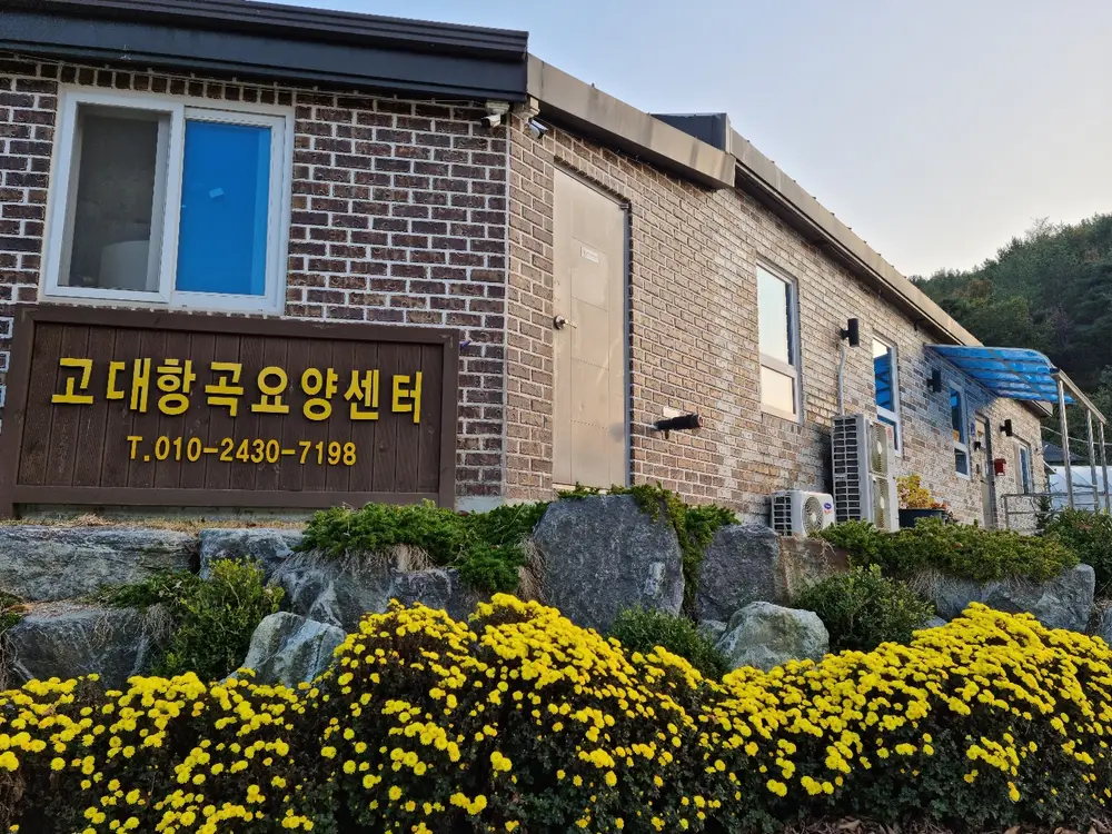 센터 화단의 모습입니다^^