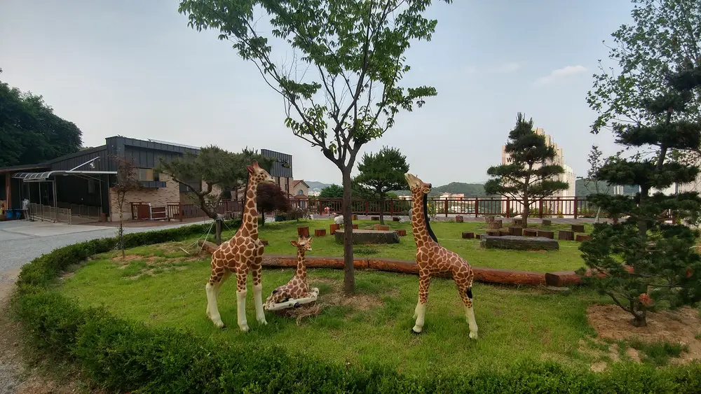 나이팅게일과 천사들 사진