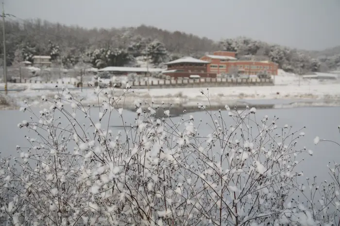 성모전문요양원 겨울 전경