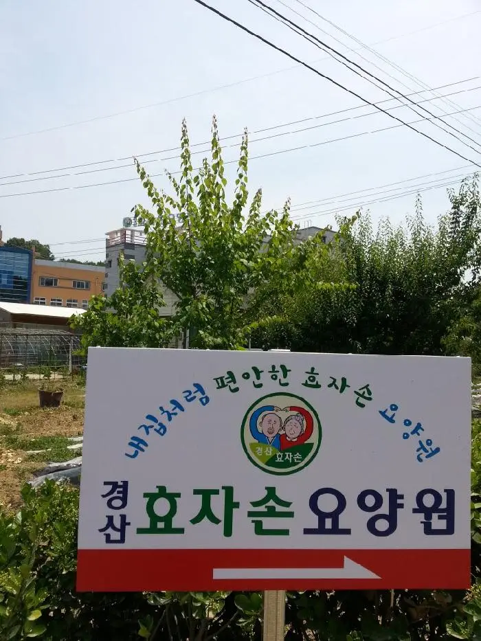 경산효자손요양원 사진