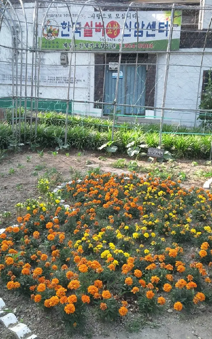 한국실버노인요양신암센터 사진